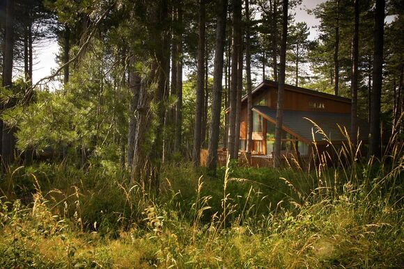 Golden Oak 4 (Pet) - Forest of Dean Lodges, Coleford