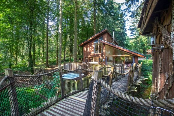 Golden Oak Treehouse (Pet) - Forest of Dean Lodges, Coleford