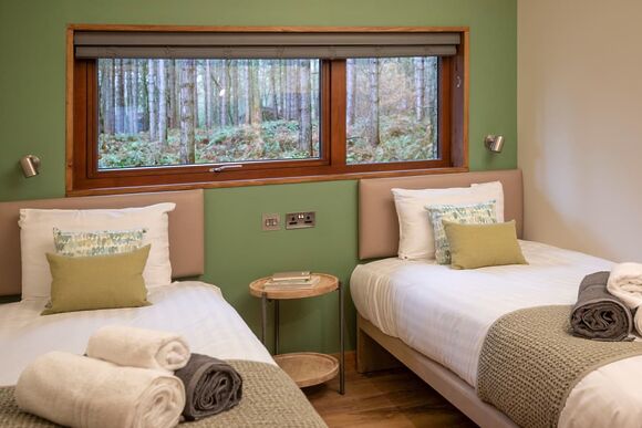Golden Oak Treehouse (Pet) - Forest of Dean Lodges, Coleford