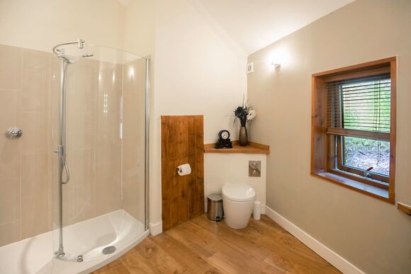 Golden Oak Treehouse (Pet) - Forest of Dean Lodges, Coleford