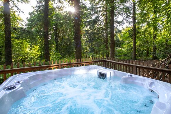 Golden Oak 1 (Pet) - Forest of Dean Lodges, Coleford