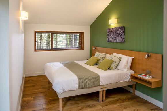 Golden Oak 1 (Pet) - Forest of Dean Lodges, Coleford