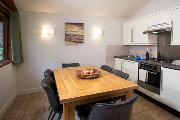 Golden Oak 2 Meadow Cabin (Pet) - Forest of Dean Lodges, Coleford