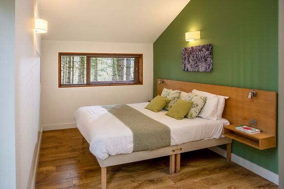 Golden Oak 2 Meadow Cabin (Pet) - Forest of Dean Lodges, Coleford