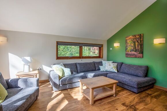Forest of Dean Golden Oak Treehouse Meadow (Pet) - Forest of Dean Lodges, Coleford