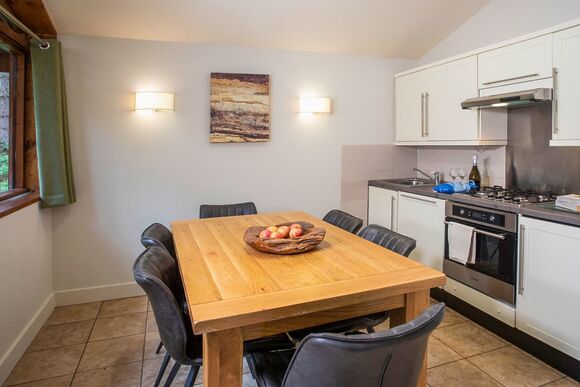 Silver Birch 2 Meadow Cabin (Pet) - Forest of Dean Lodges, Coleford