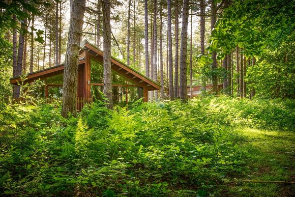 Silver Birch 3 - Forest of Dean Lodges, Coleford