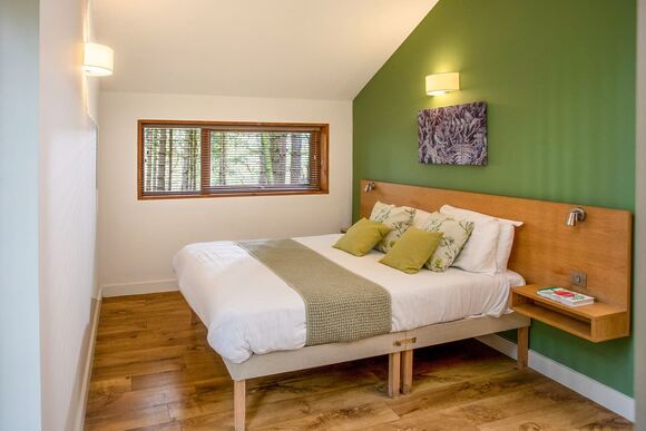 Golden Oak 3 - Forest of Dean Lodges, Coleford