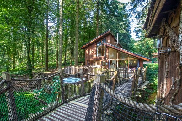 Golden Oak Treehouse - Forest of Dean Lodges, Coleford
