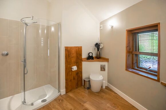 Golden Oak Treehouse - Forest of Dean Lodges, Coleford