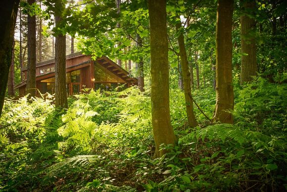 Golden Oak Hideaway - Forest of Dean Lodges, Coleford