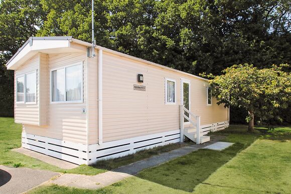 Forest Statement 2 - Forest Edge, St. Leonards, Ringwood