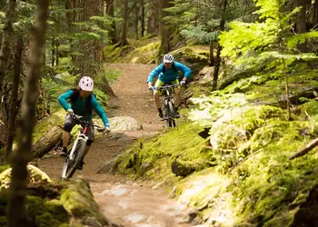 Forest Hills Lodges, Coleford, Forest oF Dean