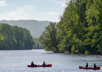 Forest Hills Lodges, Coleford, Forest oF Dean