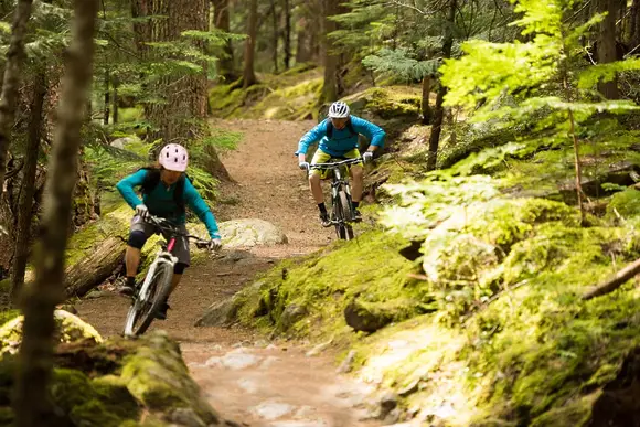 Forest Hills Lodges, Coleford, Forest oF Dean