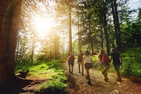 Forest Hills Lodges, Coleford, Forest oF Dean