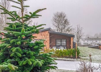 Lodge 3 VIP Pets - The Warrens at Foxtail, Gledrid, Chirk