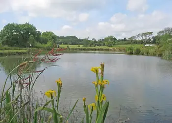 The park setting