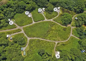 The park setting