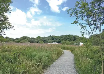 The park setting