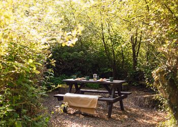 The Woodland Hideaway - Florence Springs Glamping, St Florence, Tenby