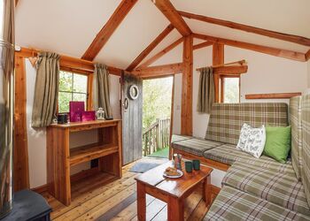 Pyatts Nest Treehouse - Florence Springs Glamping, St Florence, Tenby