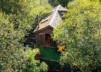 Cuckoos Nest Treehouse - Florence Springs Glamping, St Florence, Tenby