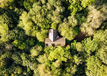 Cuckoos Nest Treehouse - Florence Springs Glamping, St Florence, Tenby
