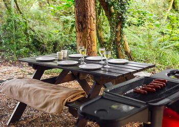 Cuckoos Nest Treehouse - Florence Springs Glamping, St Florence, Tenby