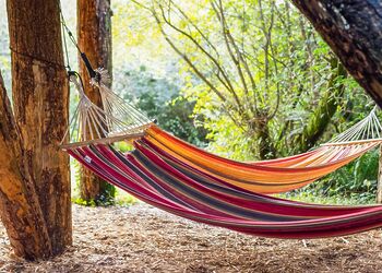 Cuckoos Nest Treehouse - Florence Springs Glamping, St Florence, Tenby