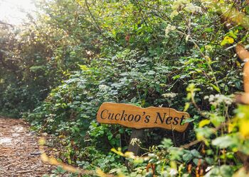 Cuckoos Nest Treehouse - Florence Springs Glamping, St Florence, Tenby