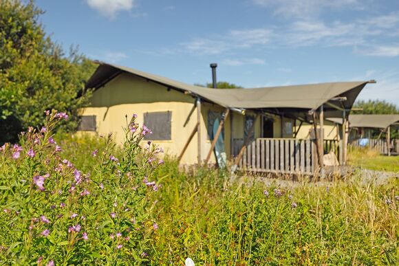 Florence Springs Safari Tent - Florence Springs Glamping, St Florence, Tenby