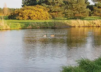 The park setting<br />