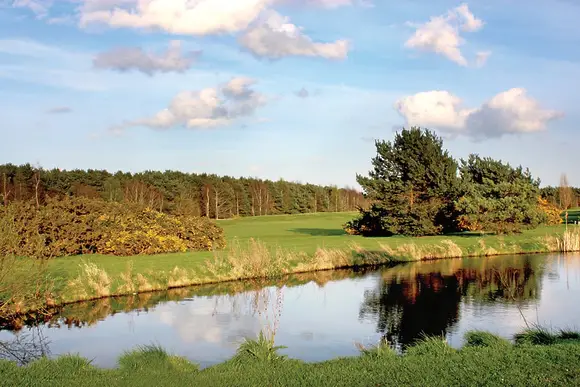 The park setting<br />