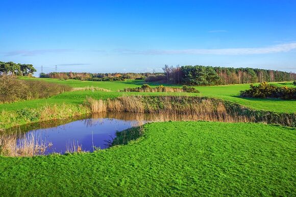 Fairway Lakes Lodges