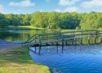 The park setting<br />