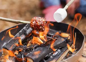 Garwnant Brecon Beacons, Merthyr Tydfil