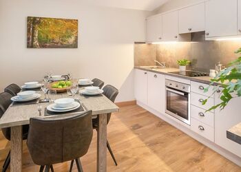 Silver Birch 3 Pet - Garwnant Brecon Beacons, Merthyr Tydfil