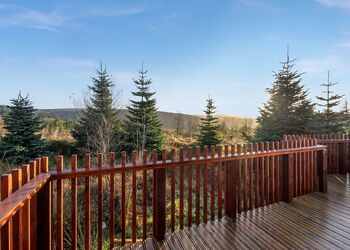 Silver Birch 3 Pet - Garwnant Brecon Beacons, Merthyr Tydfil