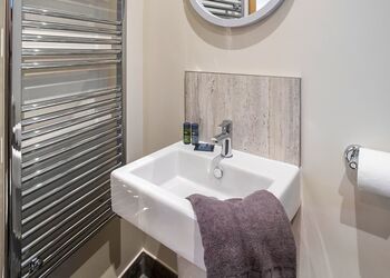 Silver Birch Pet - Garwnant Brecon Beacons, Merthyr Tydfil