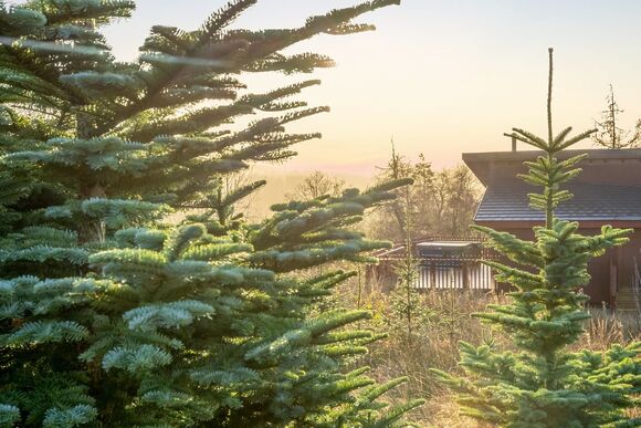 Golden Oak 3 Pet - Garwnant Brecon Beacons, Merthyr Tydfil