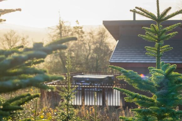 Golden Oak 4 Pet - Garwnant Brecon Beacons, Merthyr Tydfil