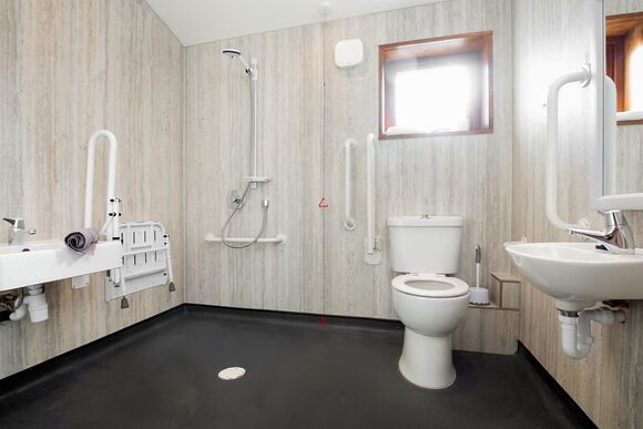 Silver Birch 2 WF - Garwnant Brecon Beacons, Merthyr Tydfil