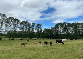 Glamp @ The Priory, Aldeby