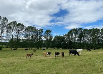 Glamp @ The Priory, Aldeby