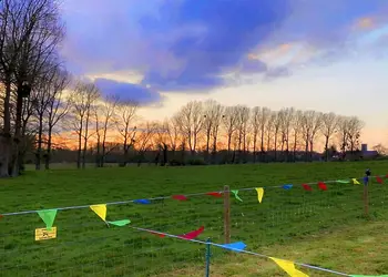 Glamp @ The Priory, Aldeby