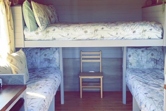 Curly Cow - Glamp @ The Priory, Aldeby