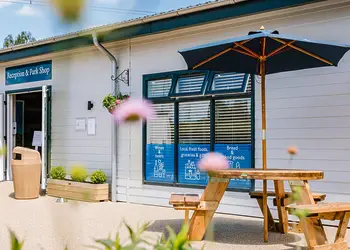 Green Hill Farm Holiday Village, Landford, Nr Salisbury