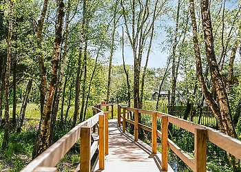 Green Hill Farm Holiday Village, Landford,  Nr Salisbury