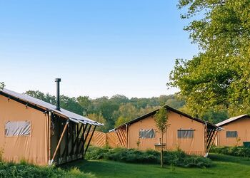 The Woody Safari Tent - Green Hill Farm Holiday Village, Landford,  Nr Salisbury